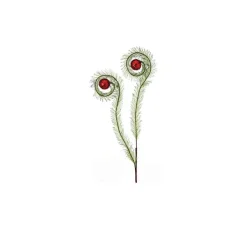 Sprays^Regency Glitter Curled Grass Ball Spray