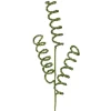 Floral^Regency Glitter Curly Q Spray, Green
