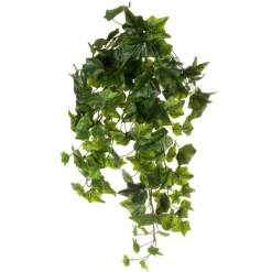 Spring^CRI Green Hanging Ivy Varigated, 28"