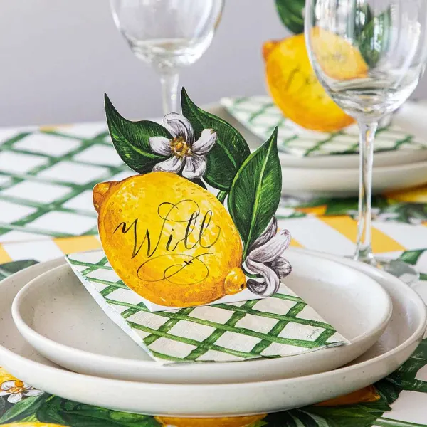 Spring^Hester & Cook Green Lattice Cocktail Napkin Set
