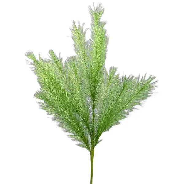 Sprays^Liberty Floral Green Pampas Grass Spray