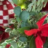 Floral Decor^Liberty Floral Green Silver Dollar Eucalyptus Spray