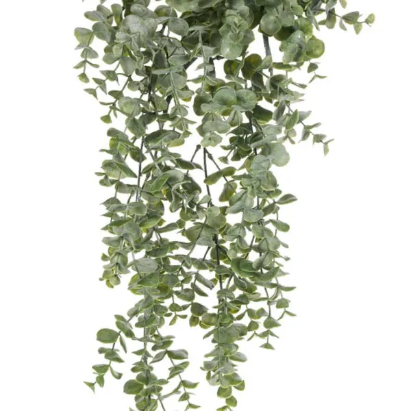 Spring^CRI Hanging Eucalyptus
