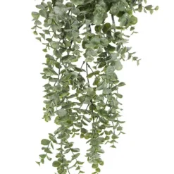 Spring Sprays^CRI Hanging Eucalyptus