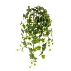 Spring^CRI Hanging Ivy Varigated, 28"