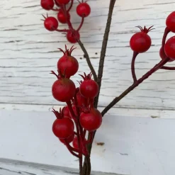 Floral Decor^Regency Harvest Crabapple Spray