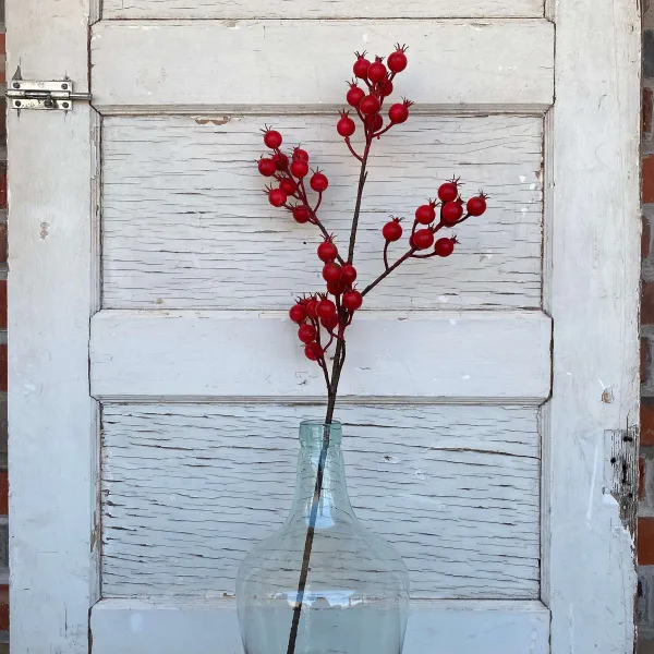 Floral Decor^Regency Harvest Crabapple Spray