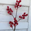 Floral^Regency Harvest Crabapple Spray
