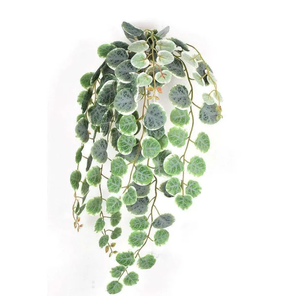 Spring^Direct Export Co. Henna Bush