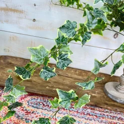Floral^CRI Large Variegated Ivy
