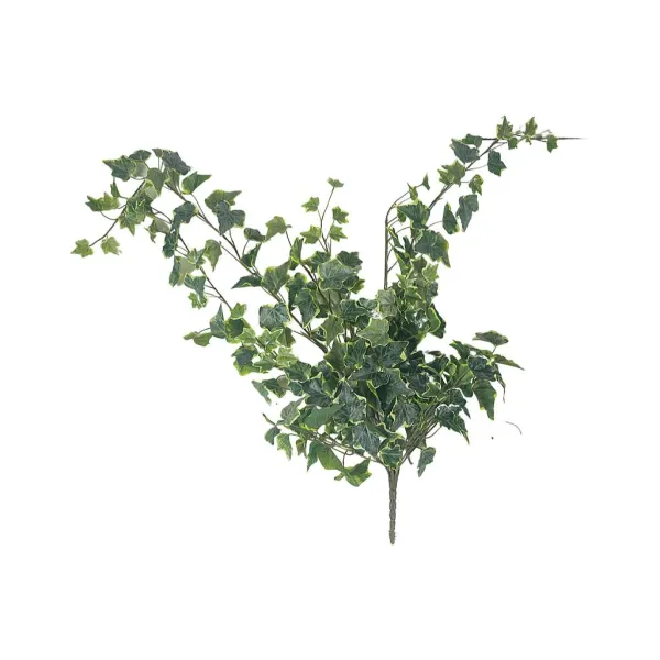 Sprays^CRI Large Variegated Ivy