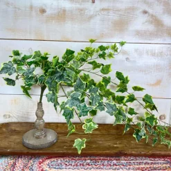 Sprays^CRI Large Variegated Ivy