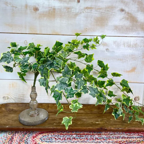 Sprays^CRI Large Variegated Ivy