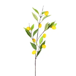 Sprays^Direct Export Co. Lemon Branch