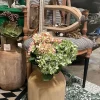 Sprays^CRI Light Green Hydrangea Bush