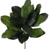Floral^Craig Bachman Magnolia Leaf Bush Pick