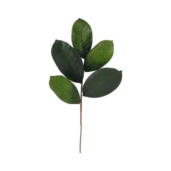 Floral^Craig Bachman Magnolia Leaf Pick