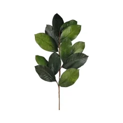 Sprays^Craig Bachman Magnolia Leaf Spray