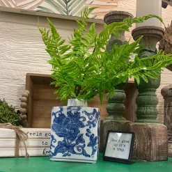 Picks^CRI Medium Boston Fern