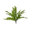 Floral Decor^CRI Medium Boston Fern