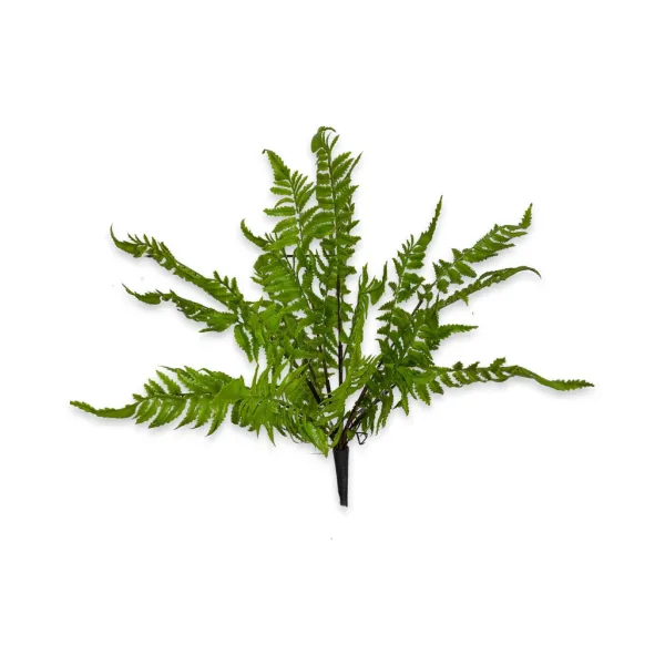 Floral Decor^CRI Medium Boston Fern