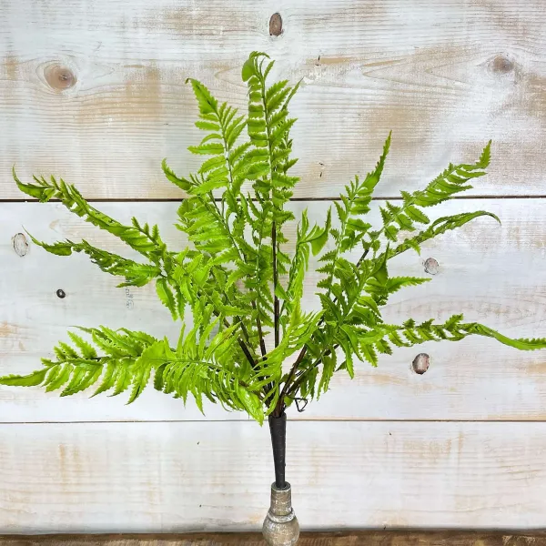Floral Decor^CRI Medium Boston Fern
