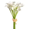 Sprays^CRI Mini Calla Lily Bundle, Cream