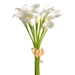 Spring^CRI Mini Calla Lily Bundle, White