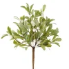 Picks^RAZ Mistletoe Pick