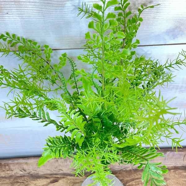Spring Sprays^CRI Mixed Greens Spray