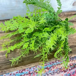 Spring^CRI Mixed Greens Spray
