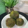 Greenery^CRI Moss Orb 4"