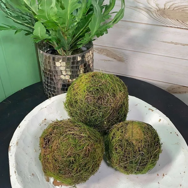 Greenery^CRI Moss Orb 4"