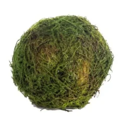 Greenery^CRI Moss Orb 6