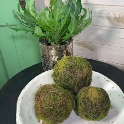 Faux Plants^CRI Moss Orb 5"