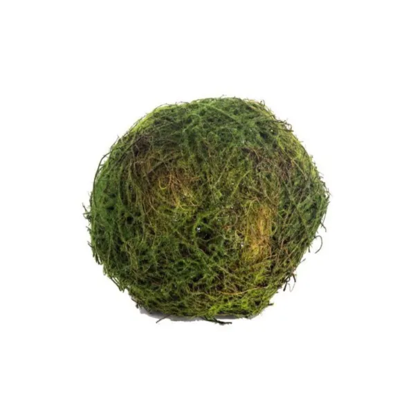 Table Decor^CRI Moss Orb 4"