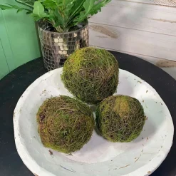 Floral Decor^CRI Moss Orb 6"