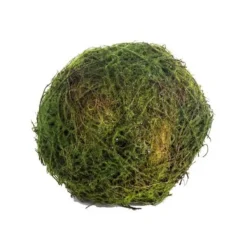 Table Decor^CRI Moss Orb 5"