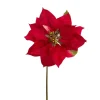 Stems^Direct Export Co. Natural Poinsettia Stem