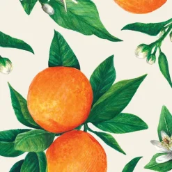Spring^Hester & Cook Orange Orchard Cocktail Napkin Set
