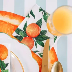 Spring^Hester & Cook Orange Orchard Cocktail Napkin Set