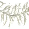 Wall Decor^Craig Bachman Pampas Grass Plume Deluxe Garland