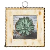 Wall Decor^The Round Top Collection Pie Crust Photo Frame, Cream Mini Gallery Art