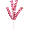 Picks^Liberty Floral Pink And Gold Polka Dot Curly Pick