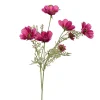 Spring^CRI Pink Cosmos Spray