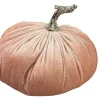Focal Points^Liberty Floral Pink Velvet Pumpkin