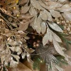 Sprays^Direct Export Co. Platinum Bay Leaf Glitter Spray