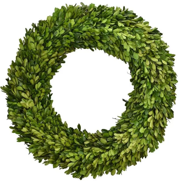 Spring^Mills Floral Company Preserved Boxwood Country Manor Wreath, 24"