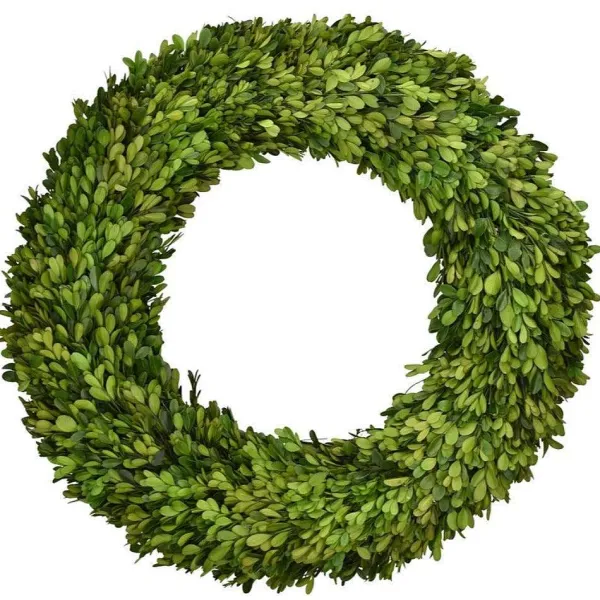 Spring^Mills Floral Company Preserved Boxwood Country Manor Wreath, 20"