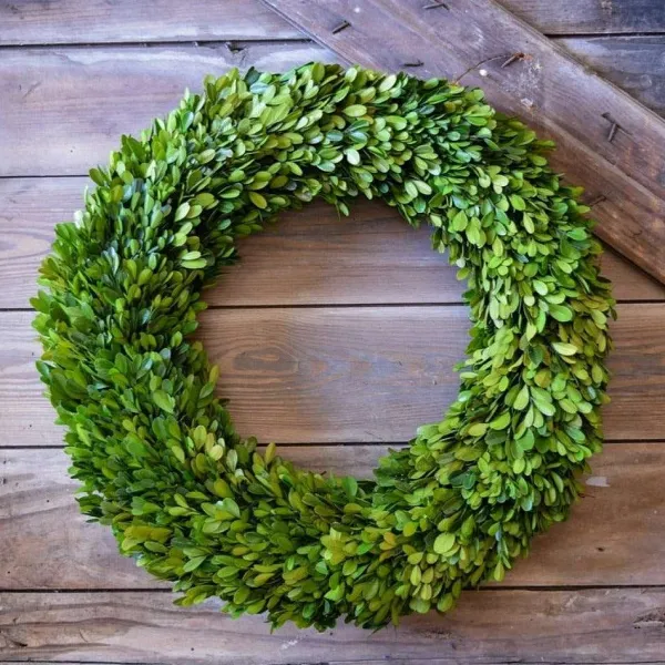 Spring^Mills Floral Company Preserved Boxwood Country Manor Wreath, 20"